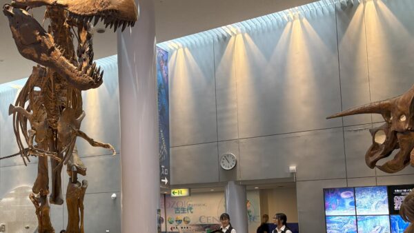 令和７年度　時習館サイエンスフェスタを実施しました